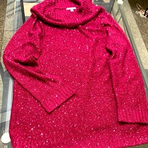 Turtle Neck Glitter Sweater Size 14/16